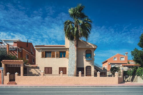 A house with palm trees and a palm tree in front of it