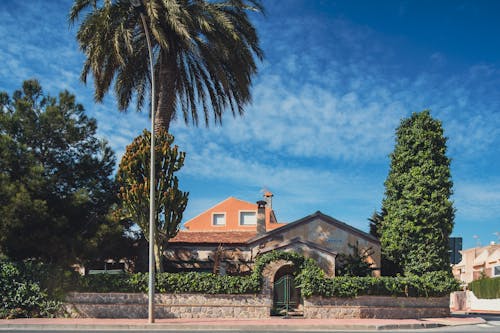 A house with palm trees and a fence