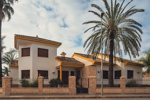 A house with palm trees and a fence