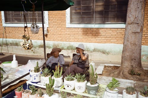 A woman sitting on a bench next to a table with plants