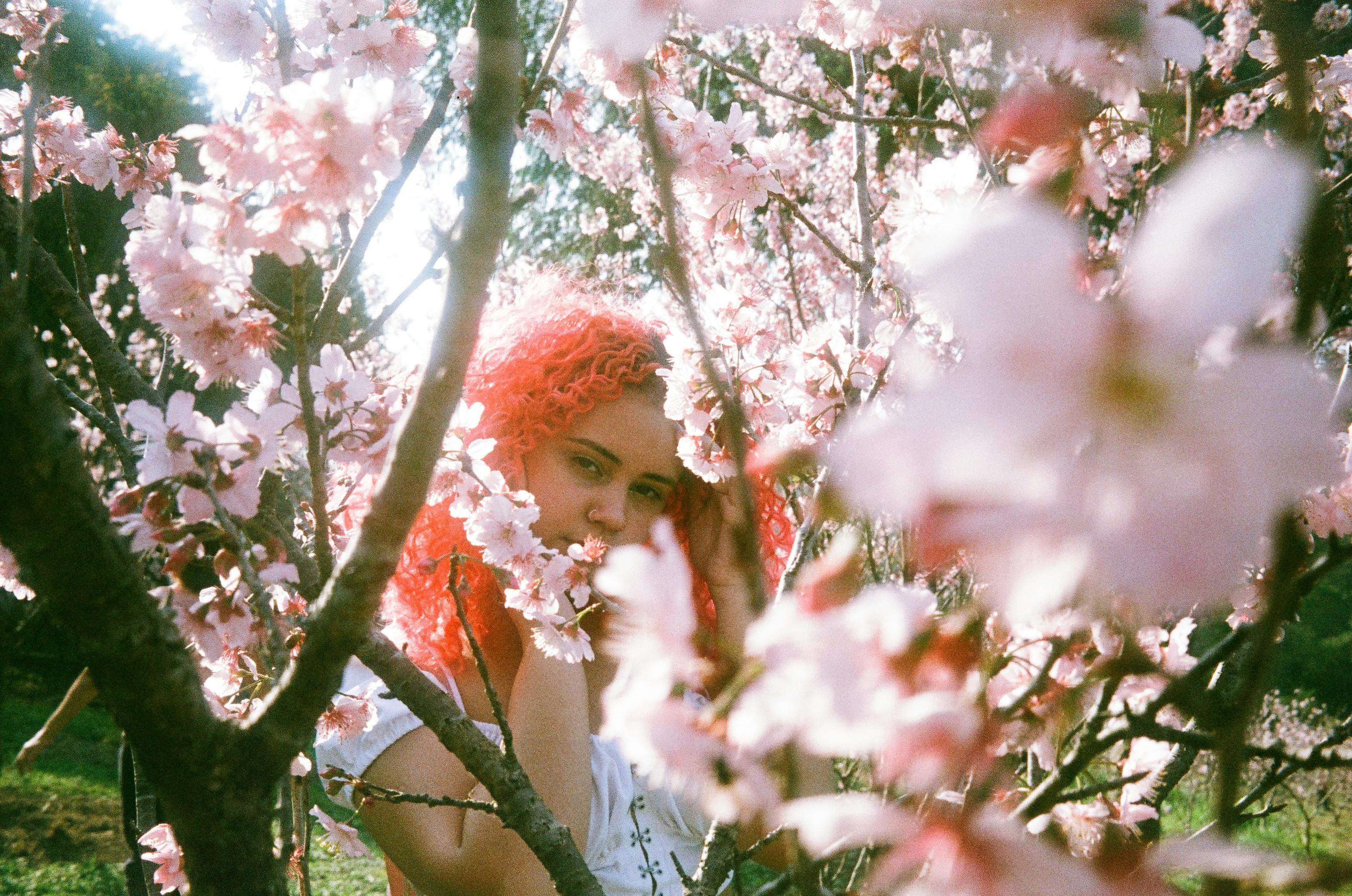 A young woman with vibrant hair stands among blooming cherry blossoms in spring.