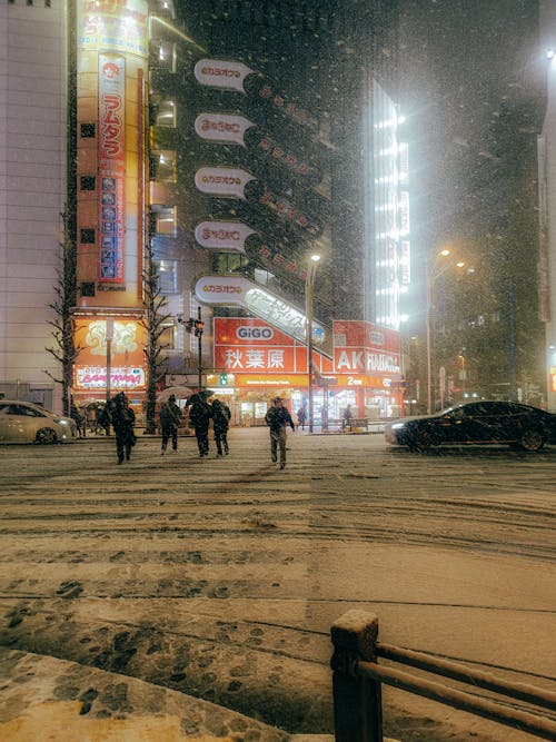 View of Illuminated Buildings and People on a Crosswalk in Tokyo in Winter 