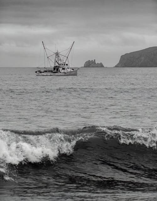 Imagine de stoc gratuită din alb-negru, ambarcațiune, barcă de pescuit