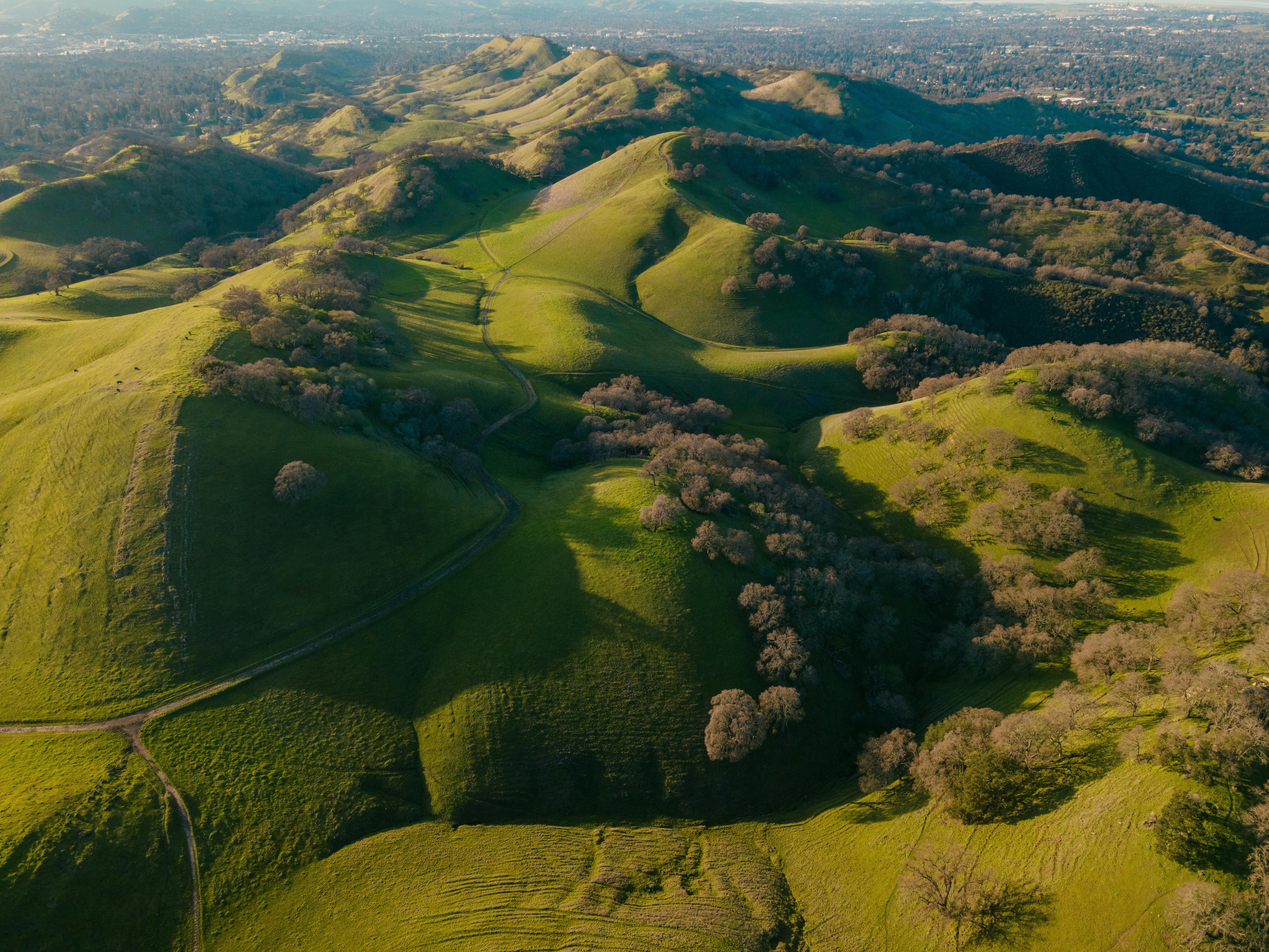 Climate Resilience Strategy for California Agriculture: Legislative Briefing - California State Portal — Photo by Griffin Woo