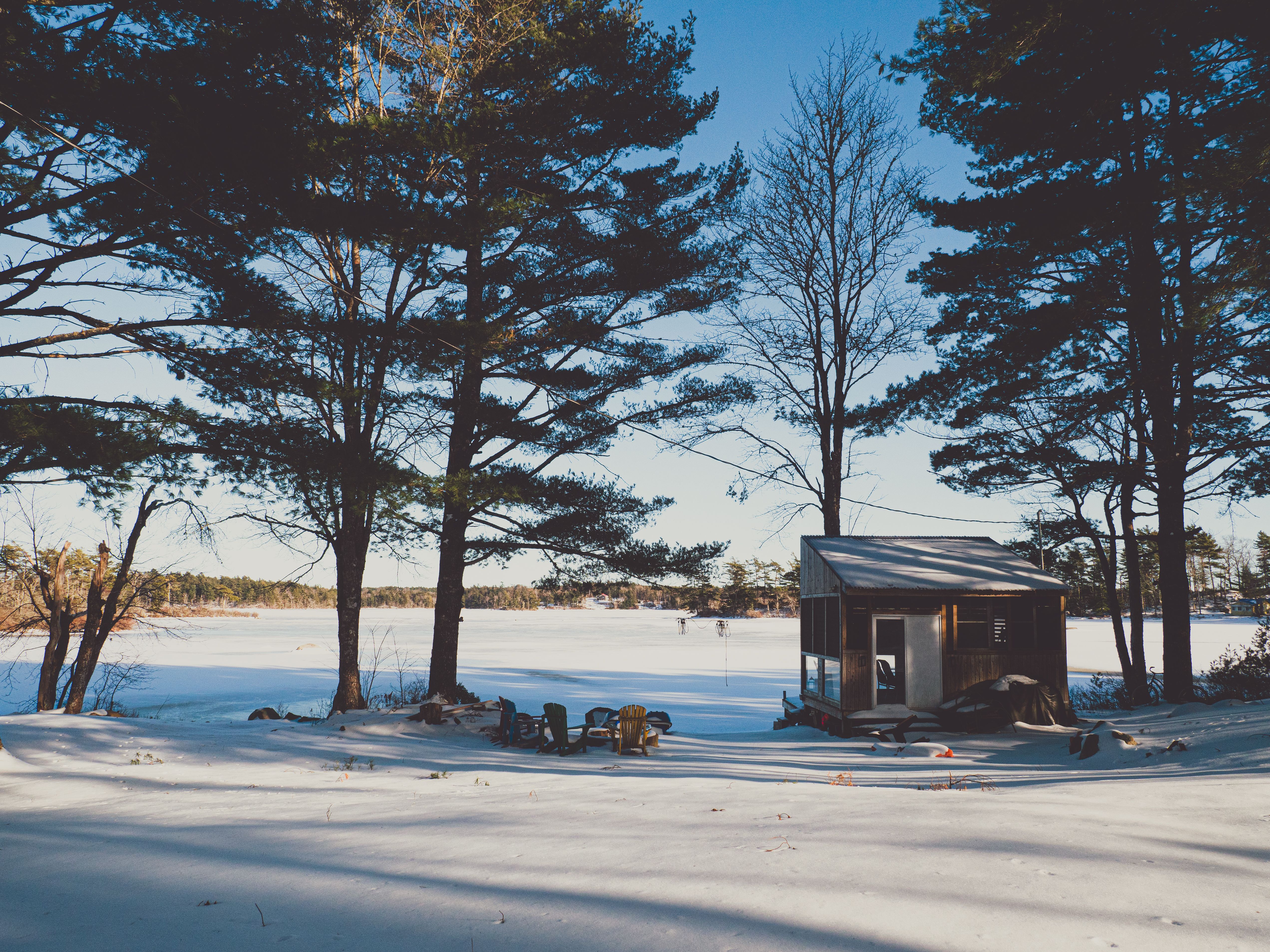 a cedar shake cottage on a wooded lake lot with a stone fire pit and two kayaks by the water