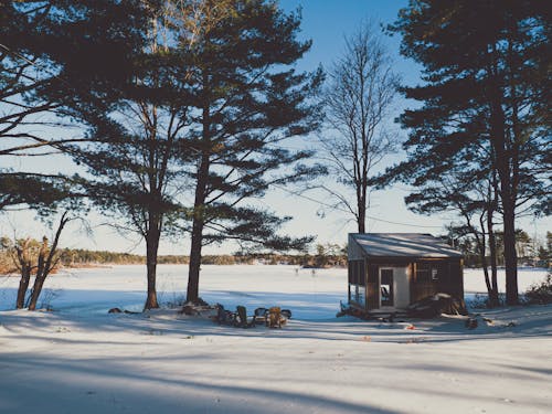 Small Cabin by a Frozen Lake in Forest in Winter