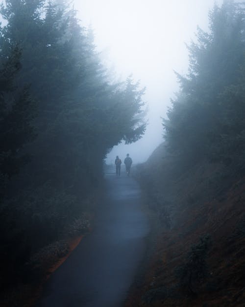 Foto profissional grátis de caminhada, colina, estrada