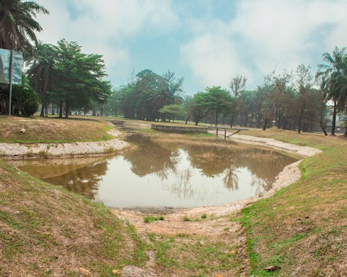 Imagine de stoc gratuită din teren de golf