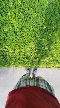 从鸟瞰视角看，一个穿着格子短裤和运动鞋的人站在郁郁葱葱的绿色树篱旁