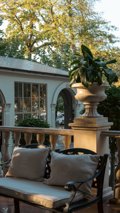 A bench and potted plant on a porch