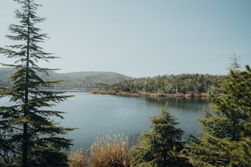 ankara, eymir, göl içeren Ücretsiz stok fotoğraf
