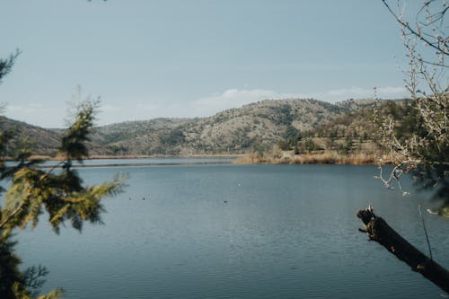 Fotobanka s bezplatnými fotkami na tému jazero, jazierko, kopce