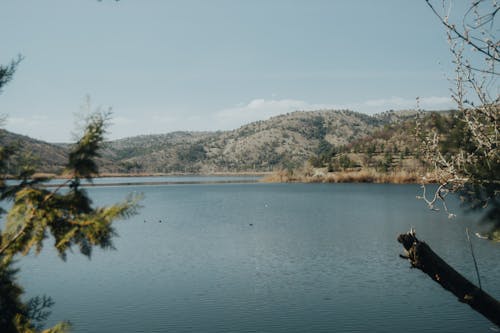 Imagine de stoc gratuită din apă, arbori, dealuri