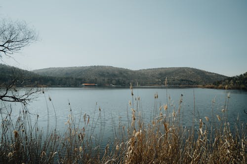 Základová fotografie zdarma na téma jezera, jezero, kopce