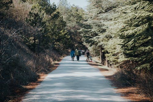 A group of people walking down a road in the woods