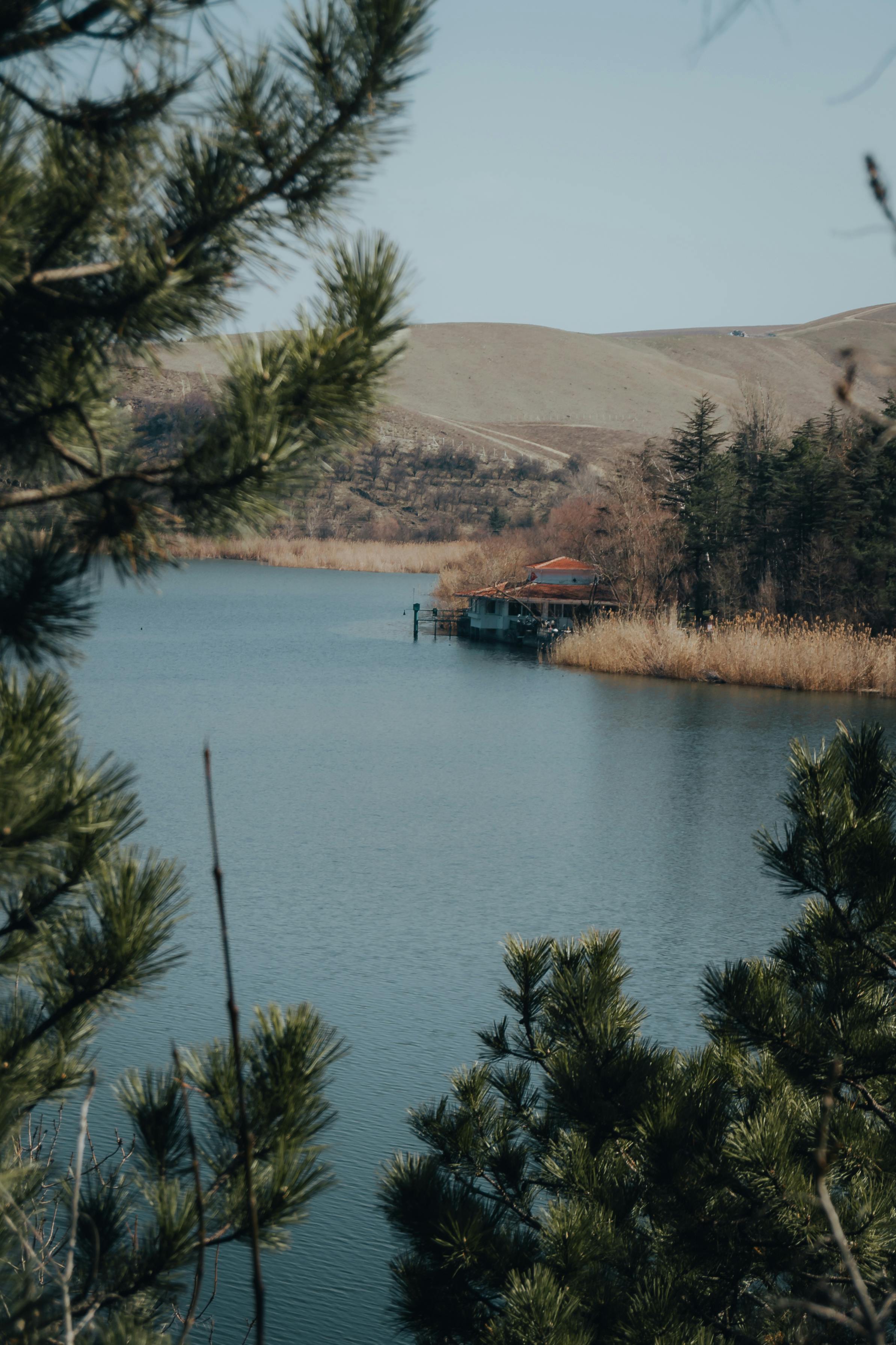 Are You Eligible? Uncover Hidden DWP Benefits That Could Boost Your Income by Thousands!