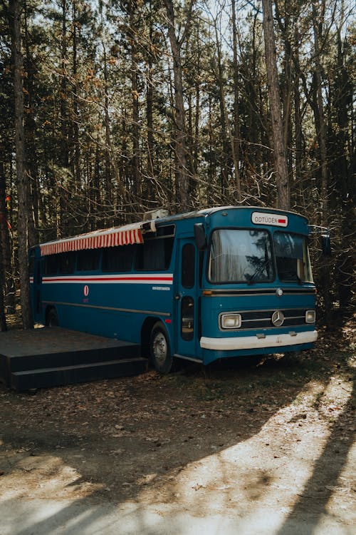 A blue bus parked in the woods near a tree