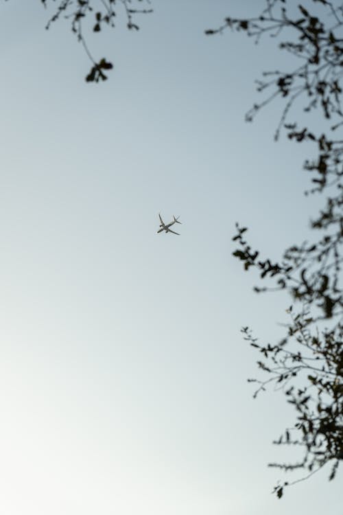 dikey atış, gökyüzü, hava aracı içeren Ücretsiz stok fotoğraf