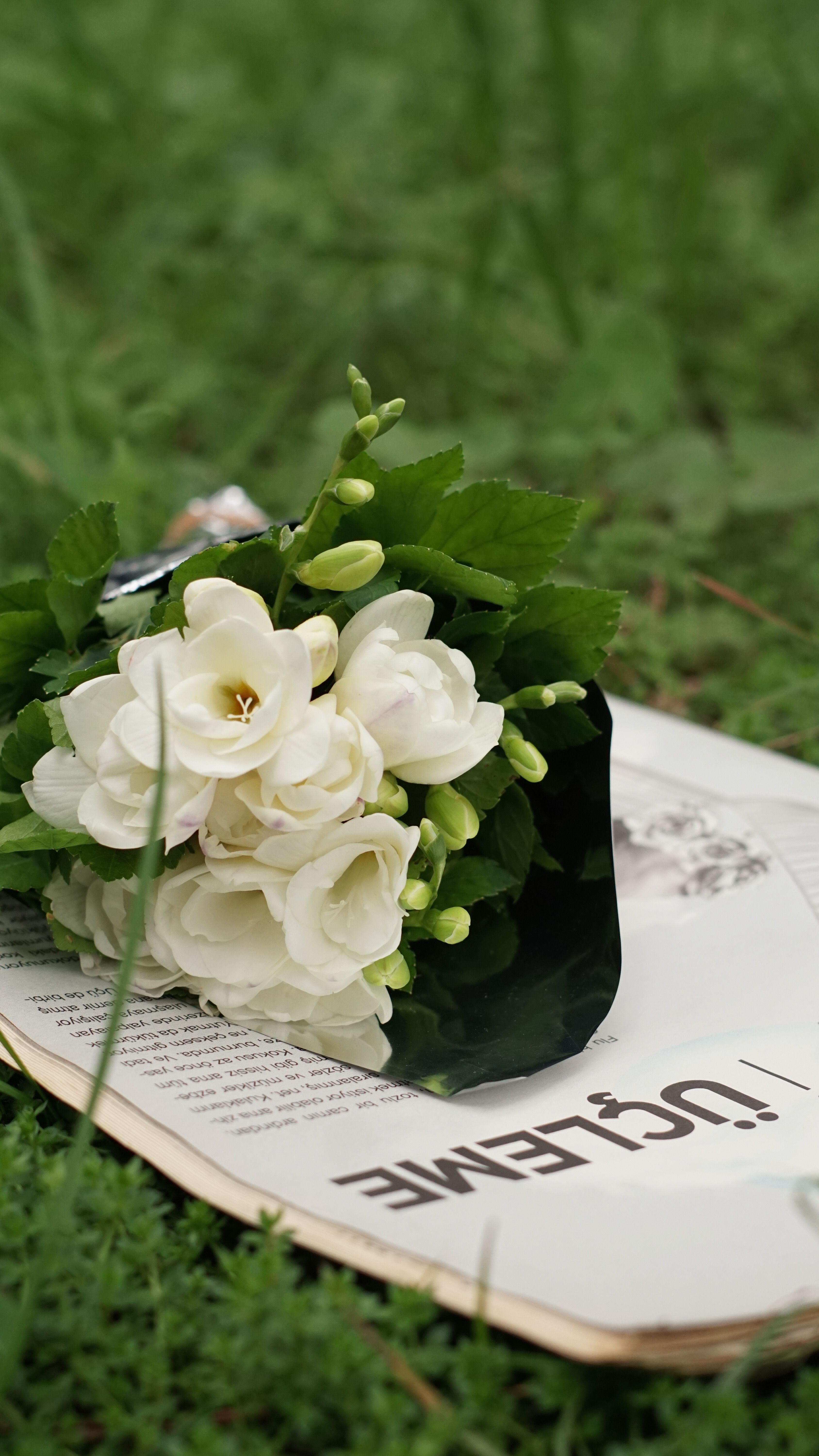 A bouquet of white roses rests on an open book lying on grass.