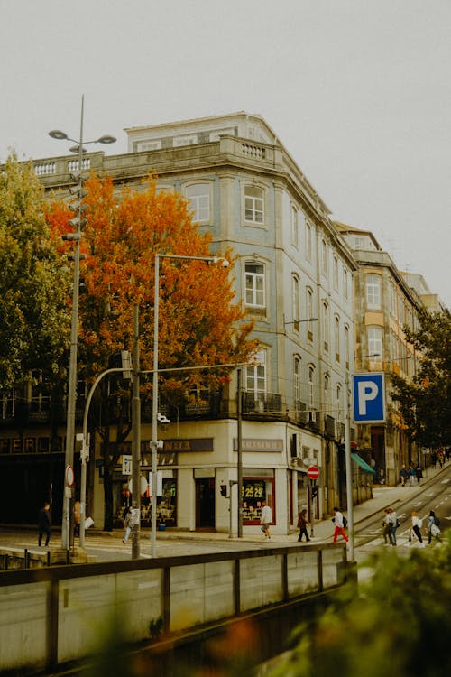 A city street with buildings and trees in the fall