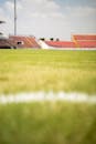 Lawn on a Stadium