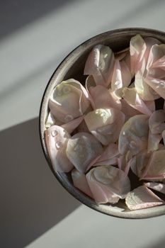 Close-up of delicate light pink rose petals in a bowl, softly lit by sunlight.