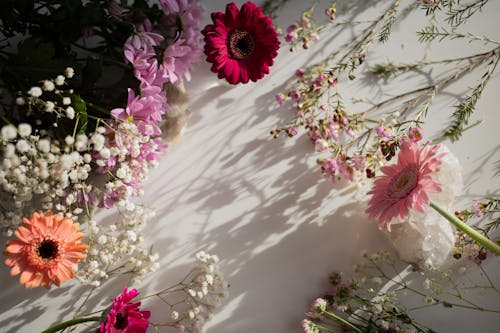 거베라, 꽃, 꽃꽂이의 무료 스톡 사진