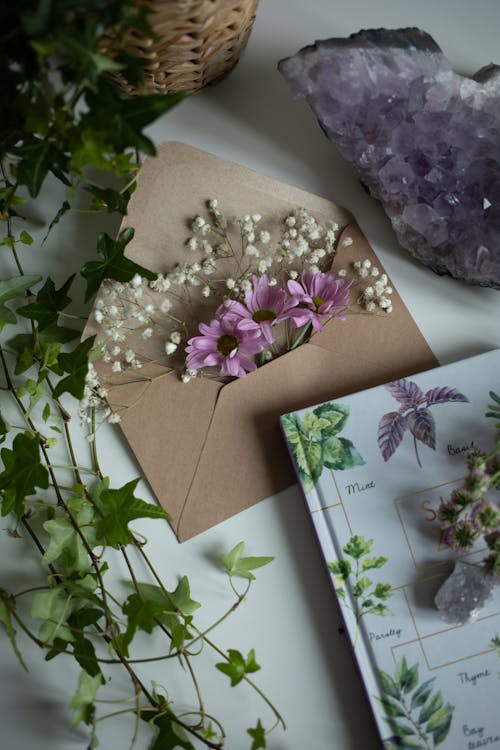 Foto stok gratis amplop, Book, bunga ungu