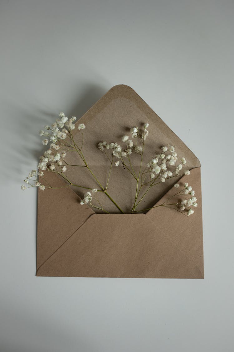 Babys Breath Flowers In A Brown Envelope 