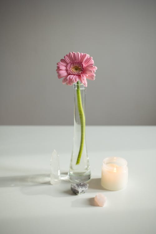 Gratis stockfoto met decoratie, drinkglas, eenvoudig