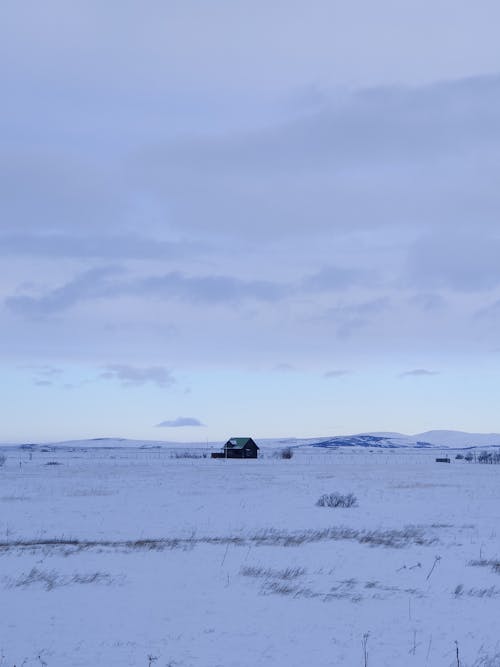 A tractor is driving through a snowy field