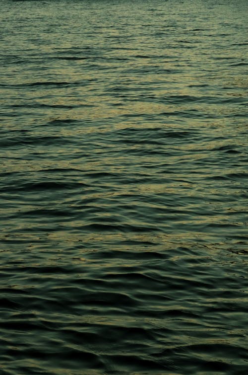 A photo of the ocean with waves