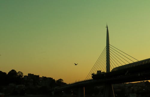 剪影, 吊橋, 建設 的 免費圖庫相片