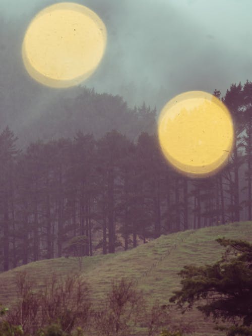 Two yellow balls in the sky over a forest