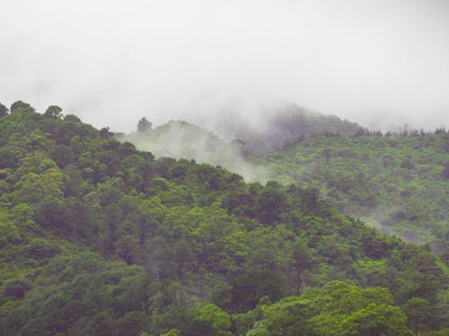çalılar, dağlar, duman içeren Ücretsiz stok fotoğraf