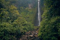 迷人的瀑布层叠在充满活力的热带雨林之中