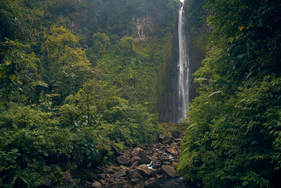 Captivating waterfall cascading in a vibrant tropical rainforest scene