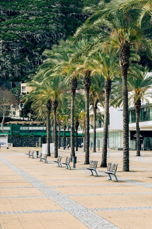 Beach at Madeira