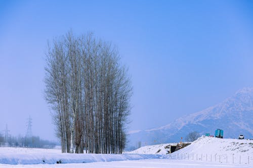 A snow covered field with a blue building in the background