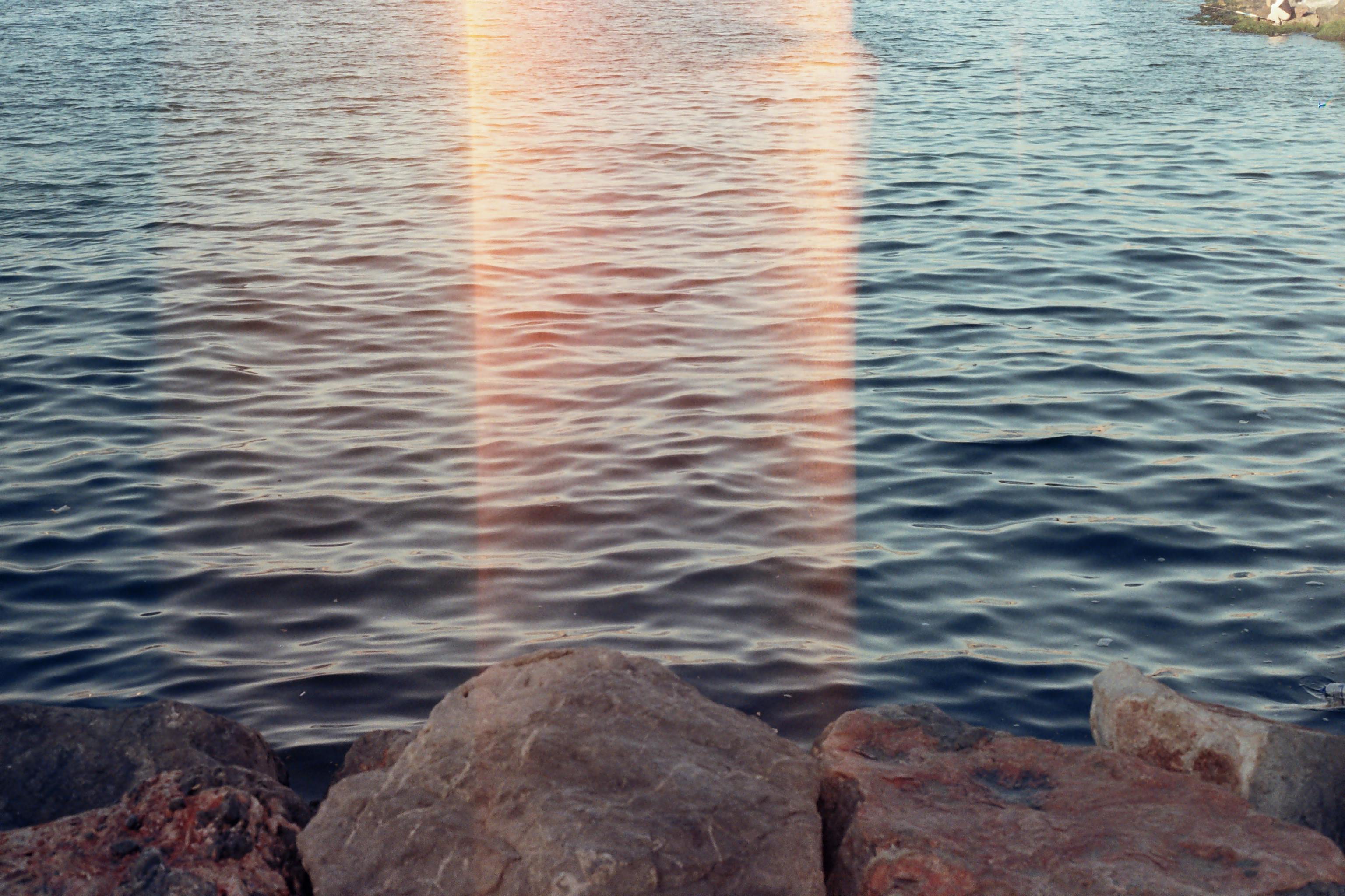 UNE students ‘Restore the Shore’ to strengthen campus climate resilience — Photo by gökçe erem on Pexels