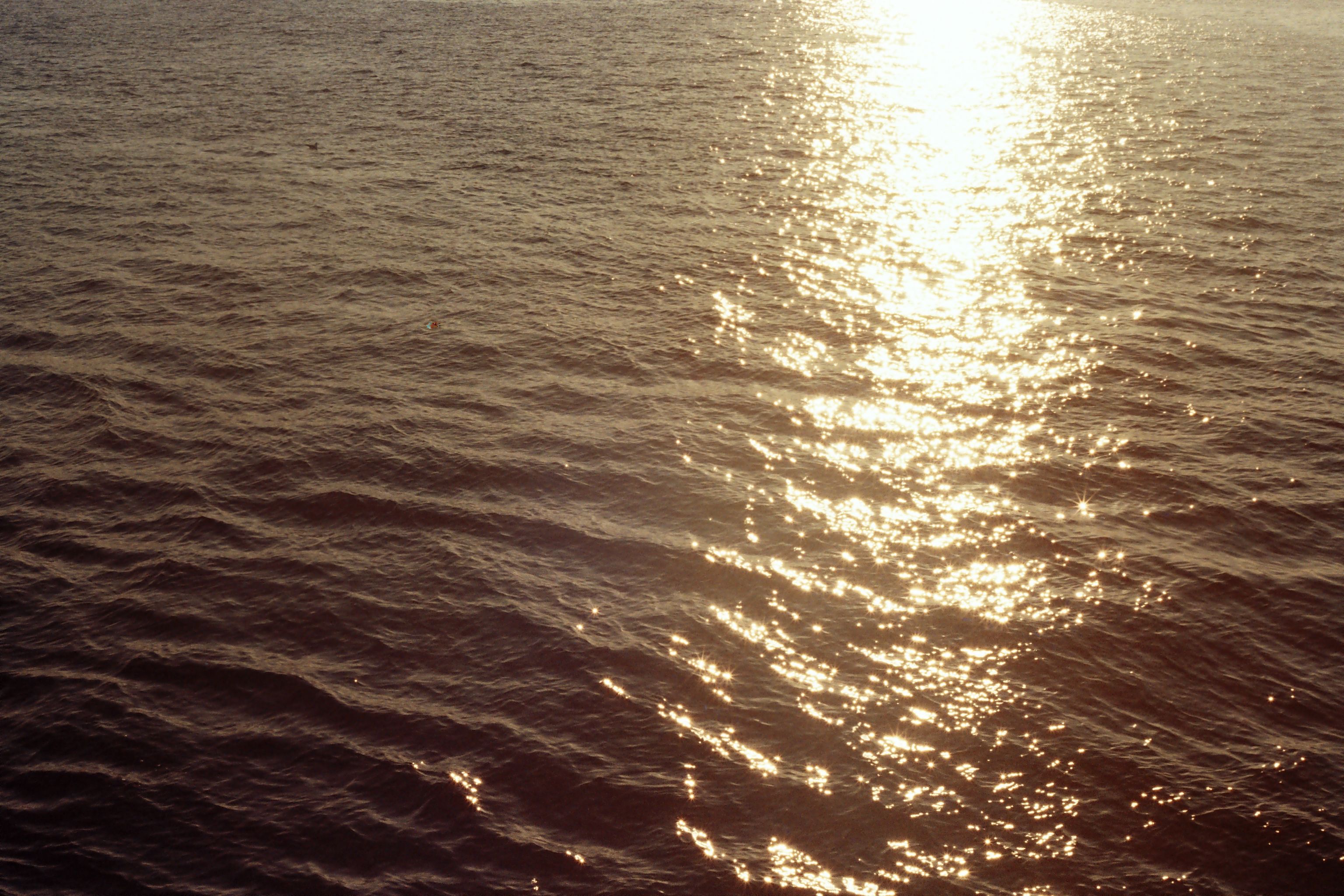 Reflection of the Sun on the Sea Water · Free Stock Photo