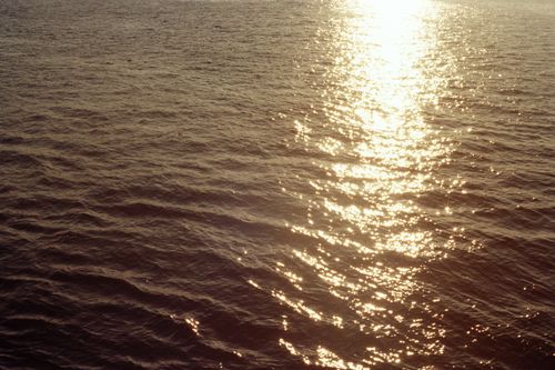 Free Sunlight reflecting on calm ocean waves at sunset, creating a golden shimmer. Stock Photo
