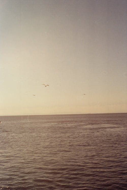 Безкоштовне стокове фото на тему «Polaroid, вертикальні постріл, море»