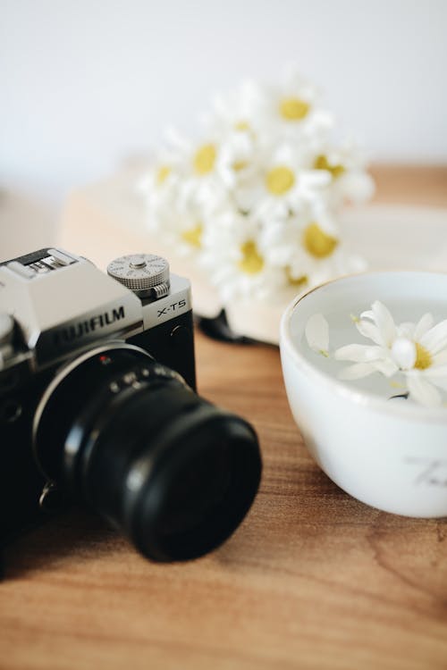 Gratis stockfoto met bloem, camera, cameralens