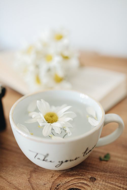 Free A calming scene with chamomile flowers in tea near an open book on a wooden table for relaxation. Stock Photo
