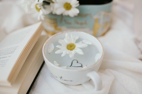 Free A calming arrangement with a book, camomile flowers, and tea cup for a peaceful moment. Stock Photo