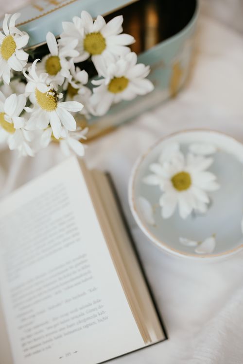 Free Delicate white daisies with an open book and decor. Aesthetic and calming flat lay scene. Stock Photo