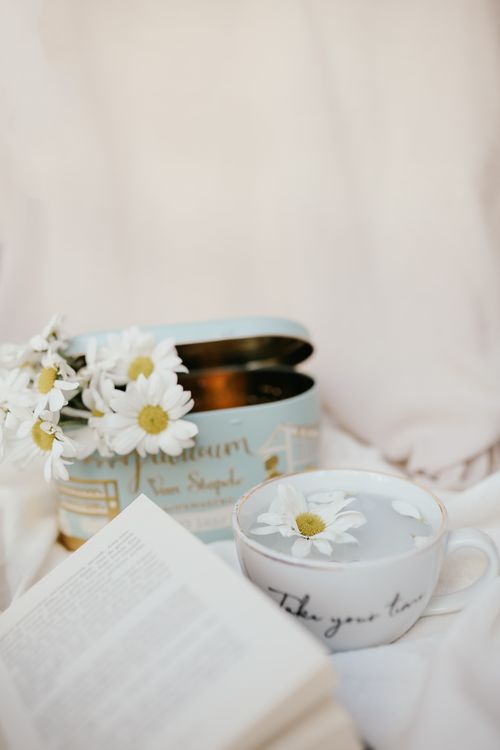 Free A relaxing setup with a book, daisies, and a tea cup in a serene environment. Stock Photo