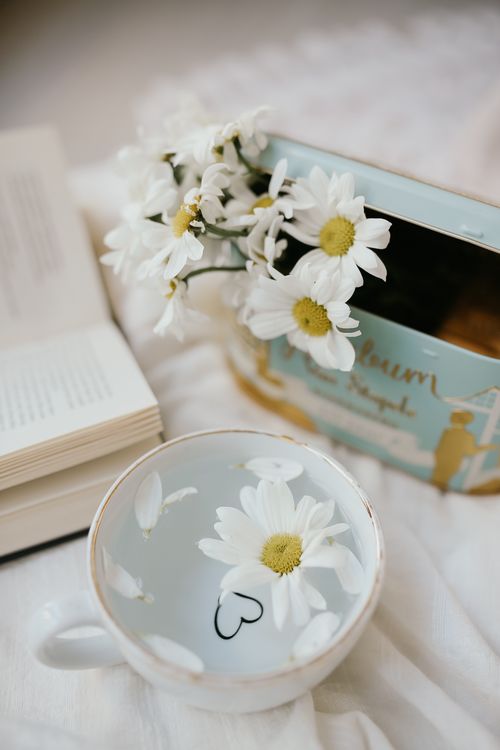 Free Cup of tea with daisies, book, and vintage tin creating a cozy ambiance. Stock Photo