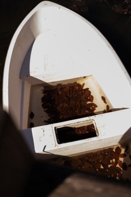 Free White boat filled with brown leaves, moored in sunlight, top view. Stock Photo
